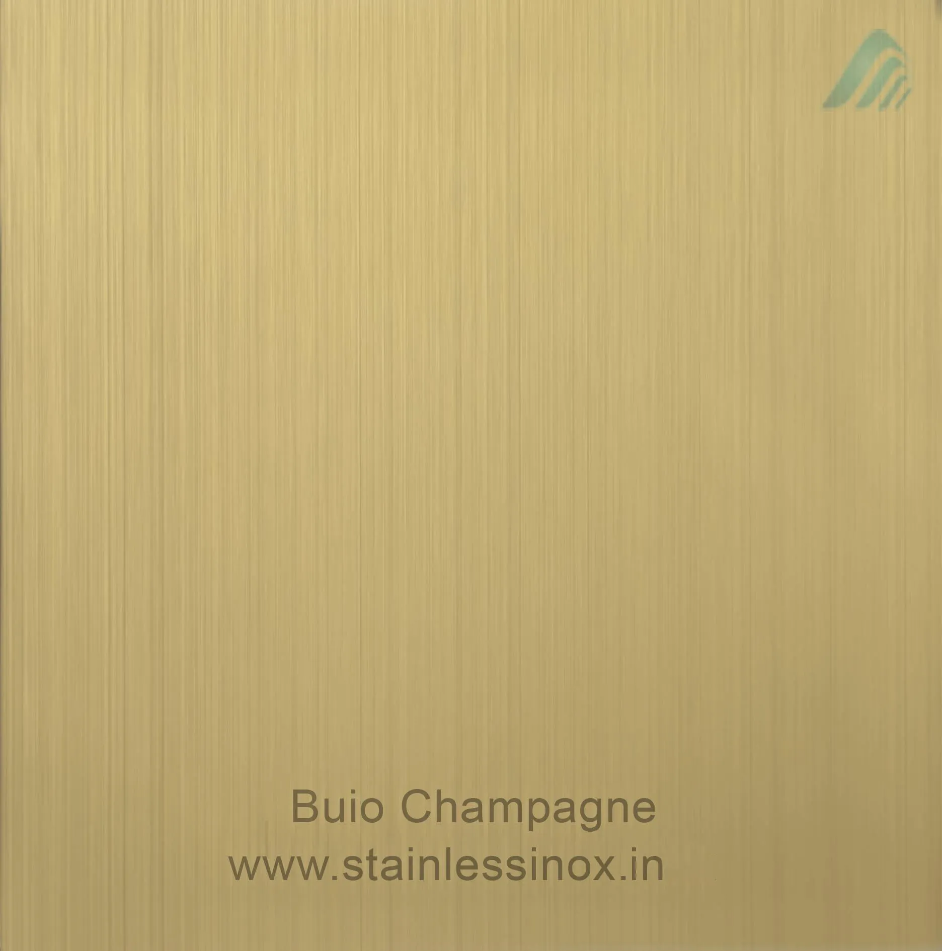 BUIO CHAMPAGNE