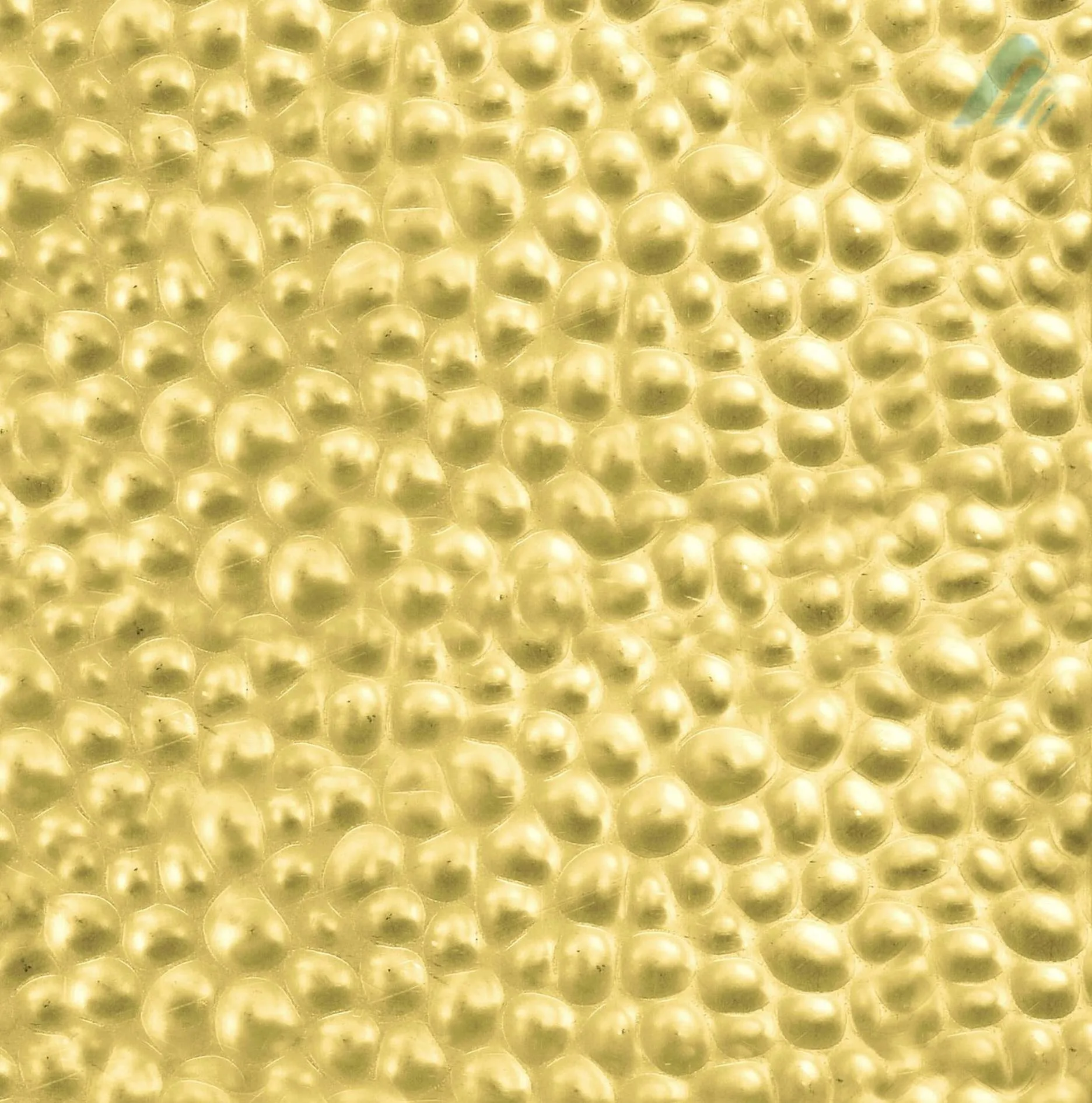ORO-HM-BACK